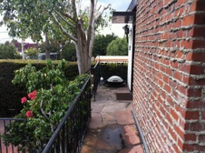 Enlarge photo 16