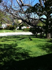 Enlarge photo 8