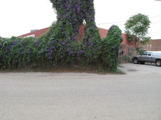 Enlarge photo 36