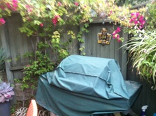 Enlarge photo 13