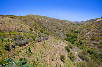 Enlarge photo 41