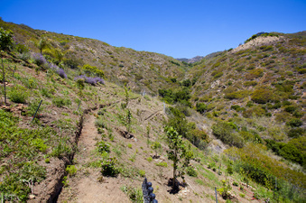 Enlarge photo 42