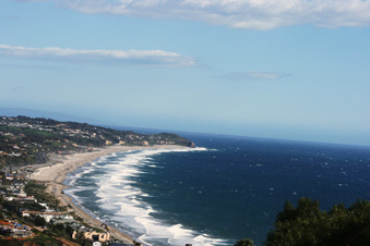 Enlarge photo 44