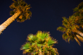 Enlarge photo 30