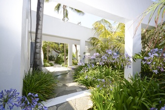 Enlarge photo 31