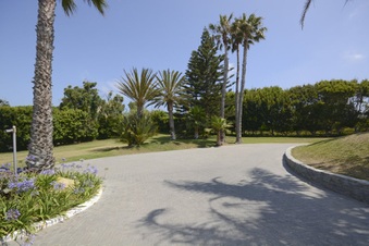 Enlarge photo 36