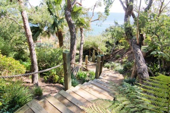Enlarge photo 17
