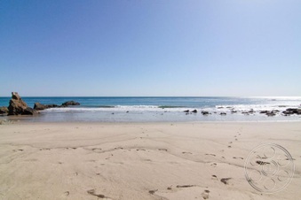 Enlarge photo 41