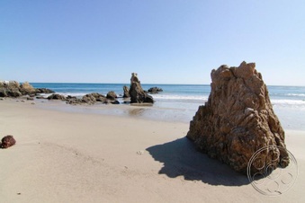Enlarge photo 45