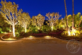 Enlarge photo 51
