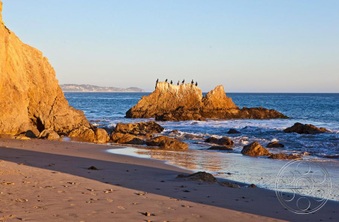 Enlarge photo 74