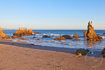 Enlarge photo 75