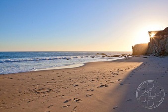 Enlarge photo 76