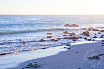 Enlarge photo 77