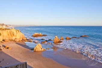 Enlarge photo 78