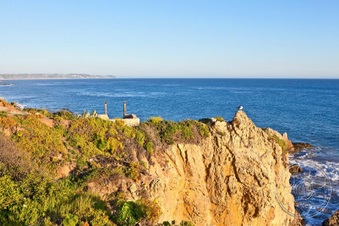 Enlarge photo 79