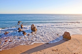 Enlarge photo 80