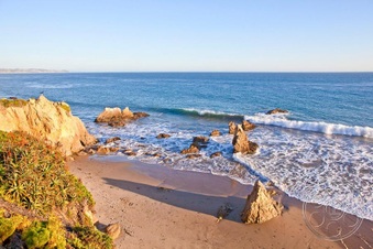 Enlarge photo 84