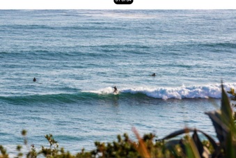 Enlarge photo 41