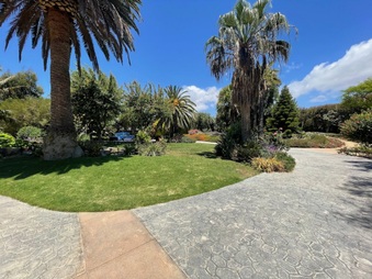 Enlarge photo 53