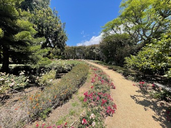 Enlarge photo 55