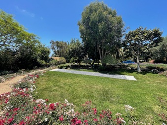 Enlarge photo 58
