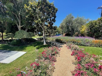 Enlarge photo 59