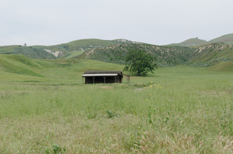 Enlarge photo 10