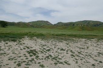 Enlarge photo 12