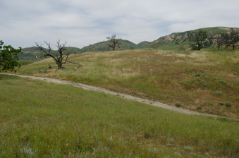 Enlarge photo 14