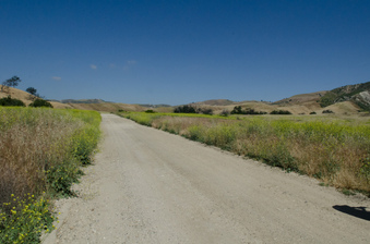 Enlarge photo 16
