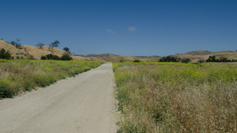 Enlarge photo 18