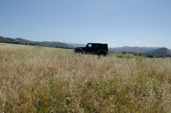 Enlarge photo 23