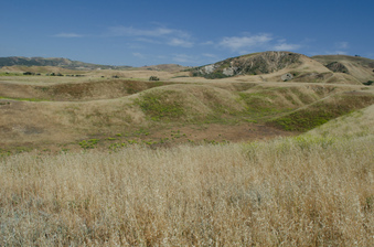 Enlarge photo 25