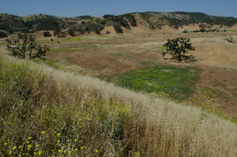 Enlarge photo 26