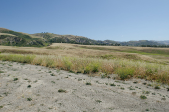 Enlarge photo 29