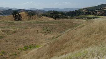 Enlarge photo 31