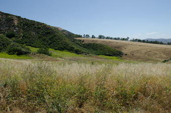 Enlarge photo 32
