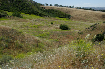 Enlarge photo 35