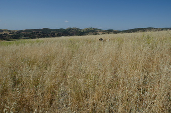 Enlarge photo 38