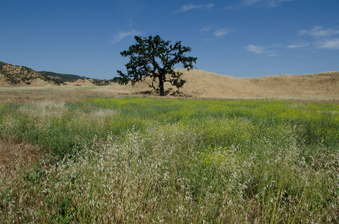 Enlarge photo 44