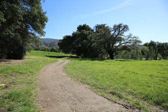 Enlarge photo 24
