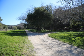 Enlarge photo 6