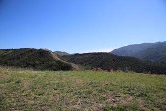 Enlarge photo 19