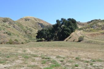 Enlarge photo 3
