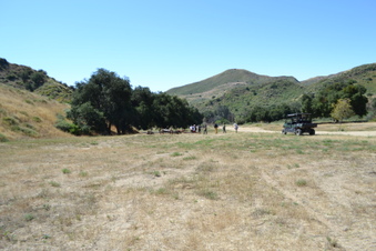 Enlarge photo 6