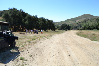 Enlarge photo 7