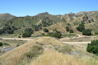 Enlarge photo 8