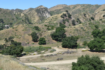 Enlarge photo 9