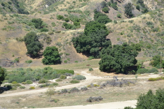 Enlarge photo 10